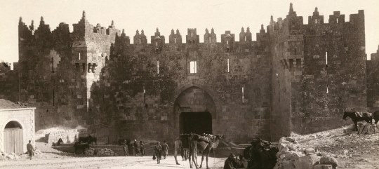 Israel exhibe las primeras fotos de la historia