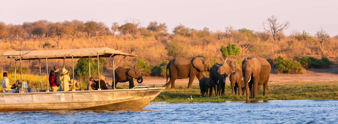 SUDAFRICA, CATARATAS VICTORIA & CHOBE 15 SEPTIEMBRE 2025 